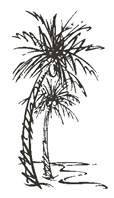 Palmtree Wedding Napkins Palm Tree