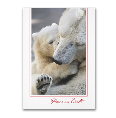 Polarbear Christmas Card