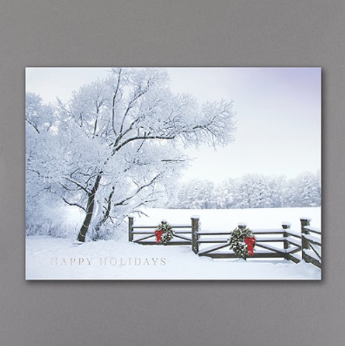 Snow Christmas Cards